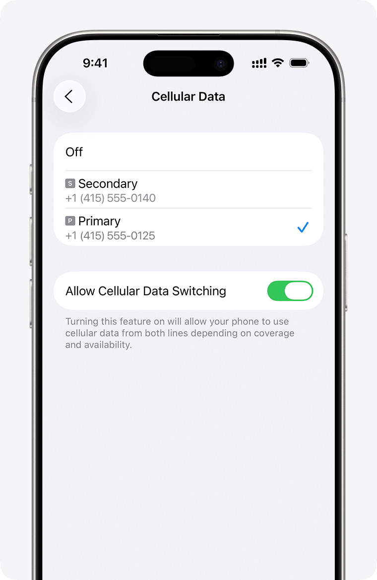 Imposta RoamGo come linea dati — iPhone Cellular Data selection