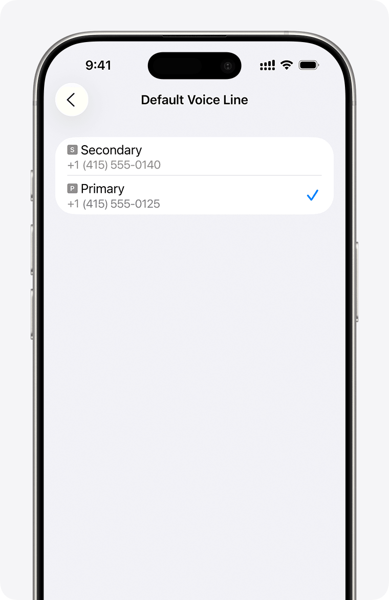 Conferma il nuovo piano — iPhone line confirmation screen